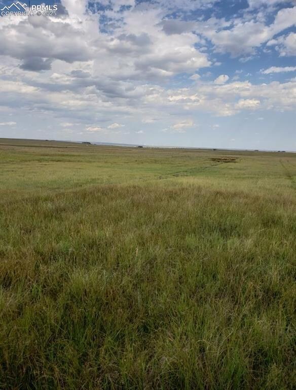 8155 Cowboy Ranch View, Falcon, CO 80831 - photo 7