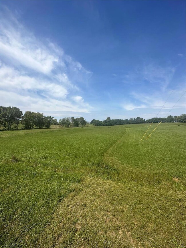 0 Eli Dr unit 23055118, Jackson, MO 63755 - photo 3