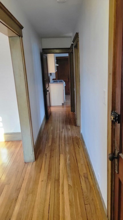 20 Wyvern St unit 2, Roslindale, MA 02131 - photo 5