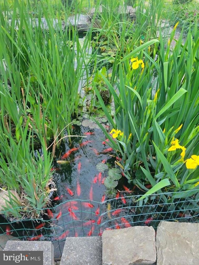 1270 Kinderhook Rd, Columbia, PA 17512 - photo 4