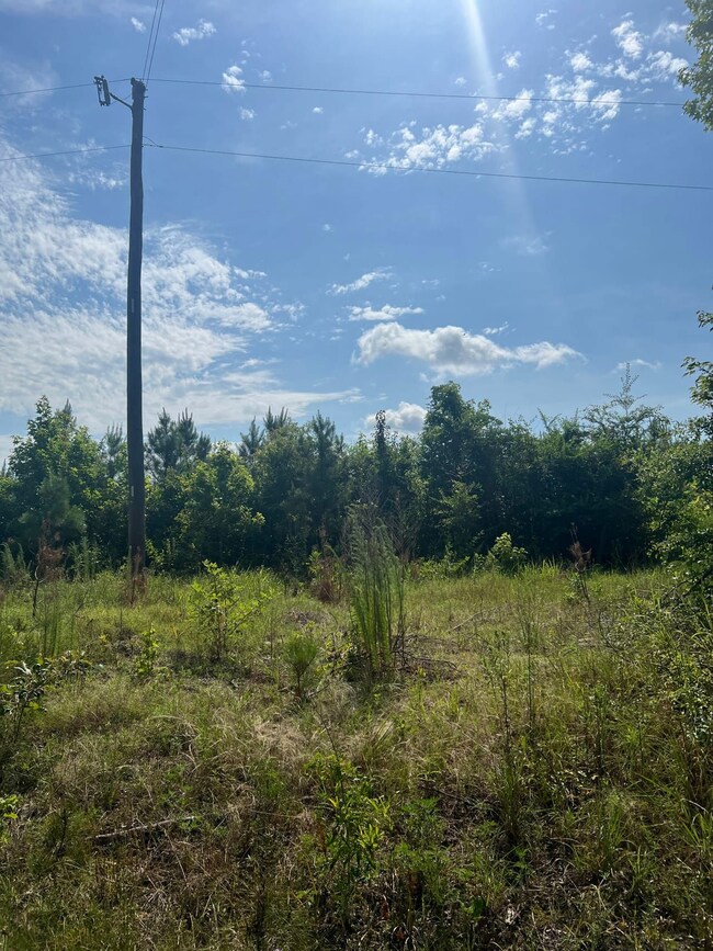 0 Brinkley Rd, Pine Bluff, AR 71603 - photo 2