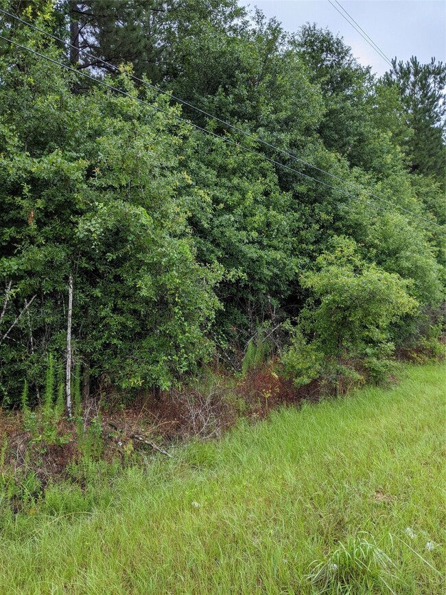 25153 Blackburn Dr, Splendora, TX 77372 - photo 5