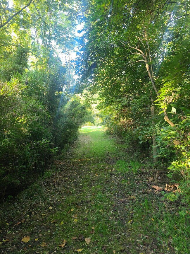 6911 Number Five Rd, Pleasant Plain, OH 45162 - photo 3