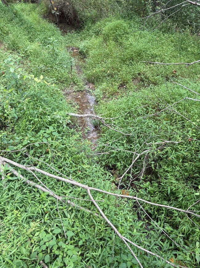 TBD Cornerstone Rd, Independence, VA 24348 - photo 4