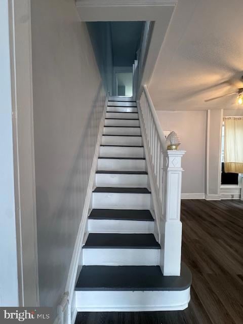 3302 N Palethorp St, Philadelphia, PA 19140 - photo 3