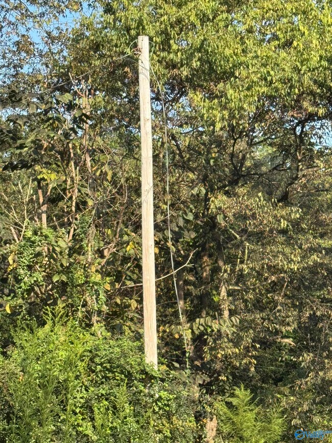 35 County Road 753, Piedmont, AL 36272 - photo 7