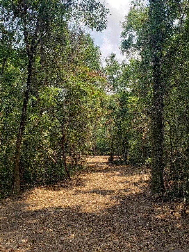 xx Shadeville Rd, Crawfordville, FL 32327 - photo 5