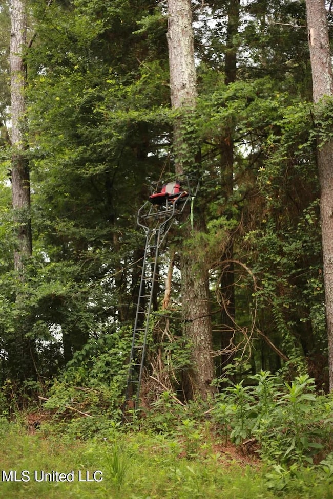 1b9be9605c6b13f4b9787c191b5a6949l-m31654