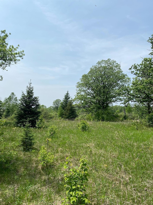 Partially wooded area with excellent access off of S Finn Road