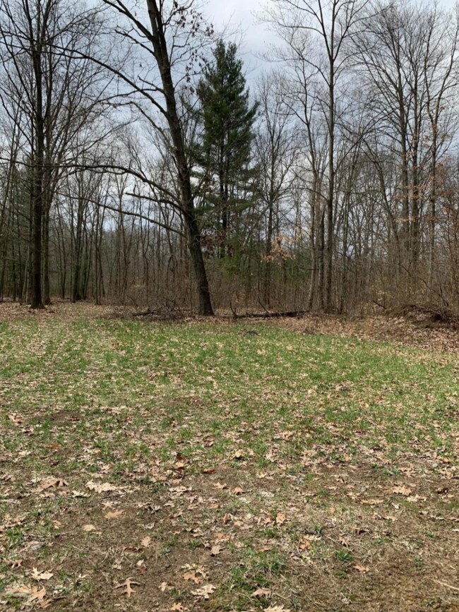 IMG-0411