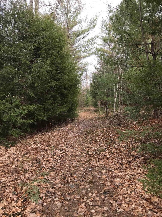 0 Forest Lake Rd unit 4897805, Winchester, NH 03470 - photo 3
