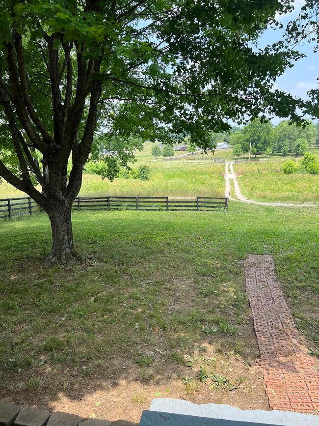 View from front porch