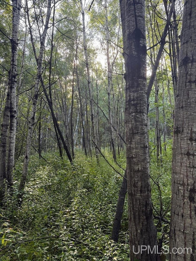 TBD85 Sidnaw Rd S, Sidnaw, MI 49961 - photo 6