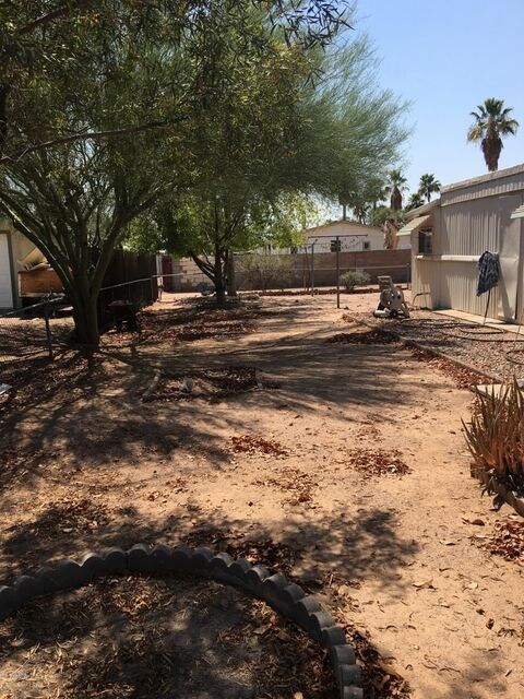 Back side yard