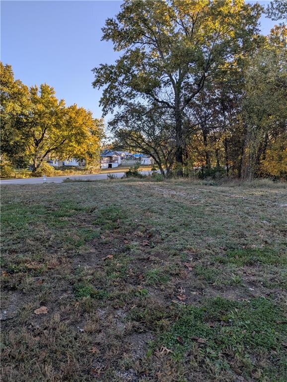 201 S Jackson St, Freeman, MO 64746 - photo 2