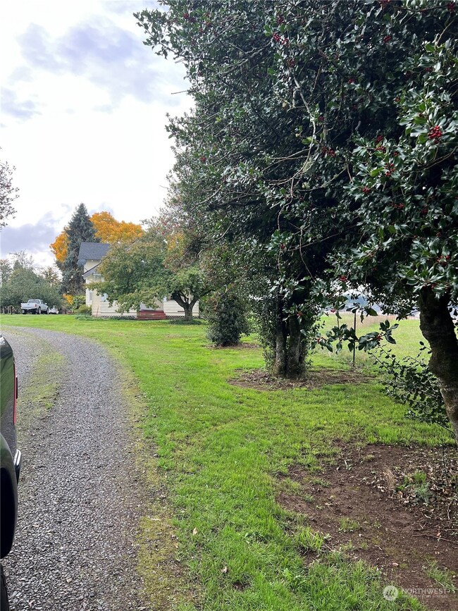 356 State Highway 505, Winlock, WA 98596 - photo 6