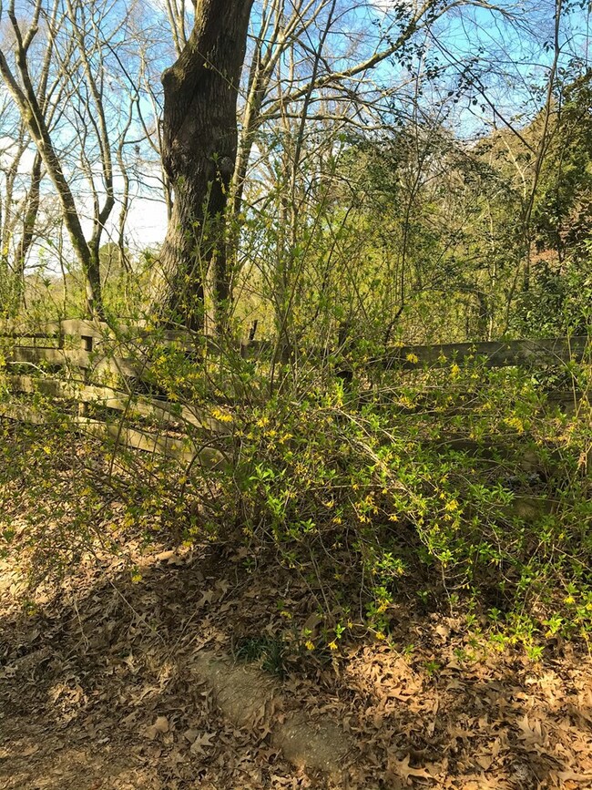 116 Cedar Hill Dr, Oxford, MS 38655 - photo 6