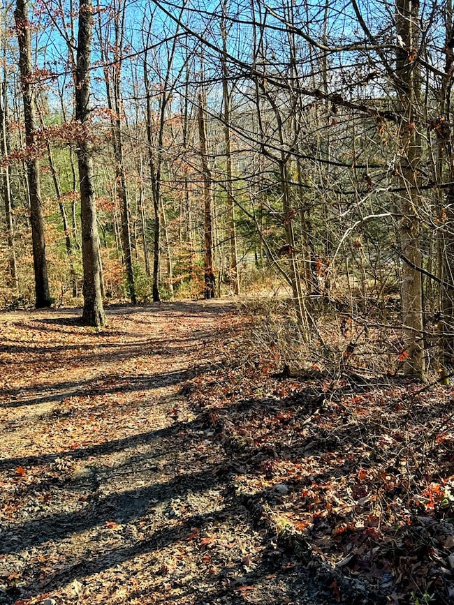 83 Farris Ln, Fayetteville, WV 25840 - photo 3