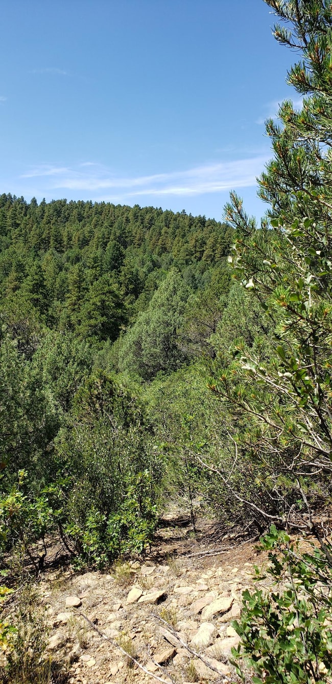 33179 Turkey Creek Ln unit Parcel B72, Trinidad, CO 81082 - photo 7