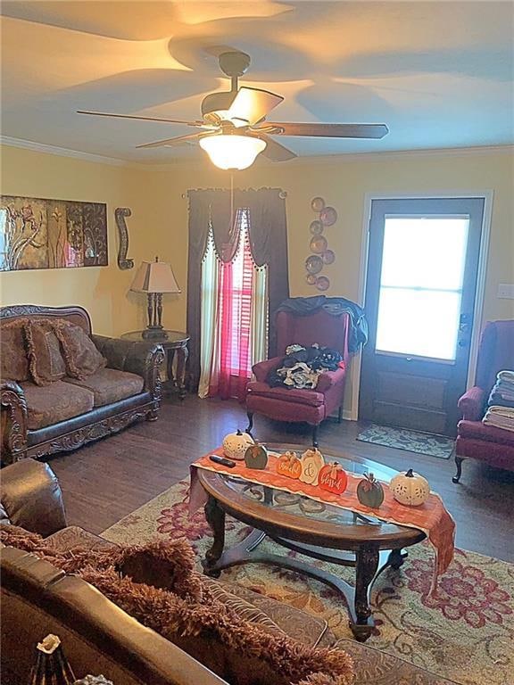 784 Normand Rd, Mansura, LA 71350 - photo 4