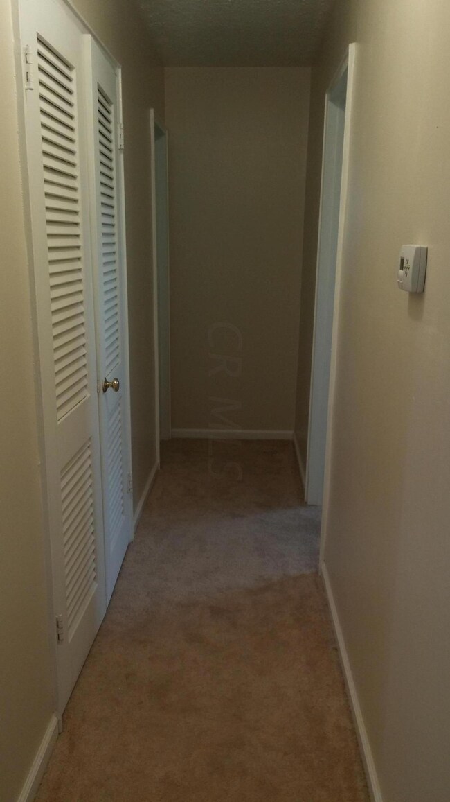 384 Wolfe Ave, Columbus, OH 43213 - photo 6