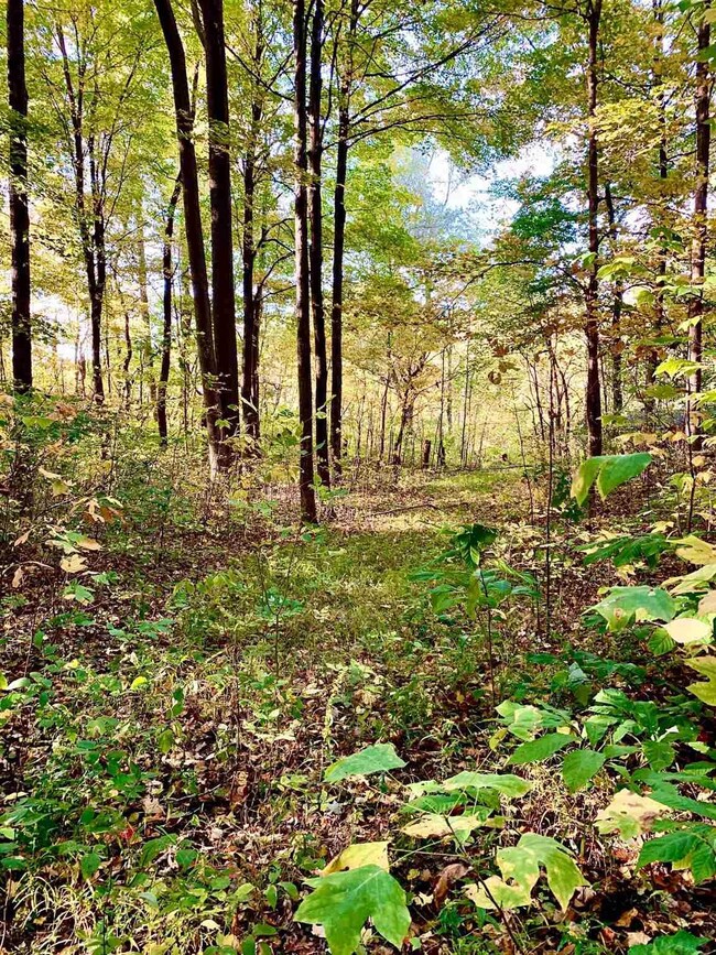 00 N 300 W, Pines, IN 46360 - photo 7