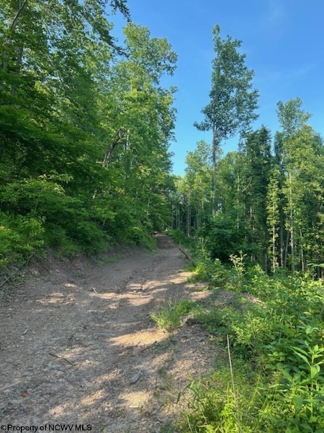 TBD Cheat Valley Hwy, Parsons, WV 26287 - photo 7