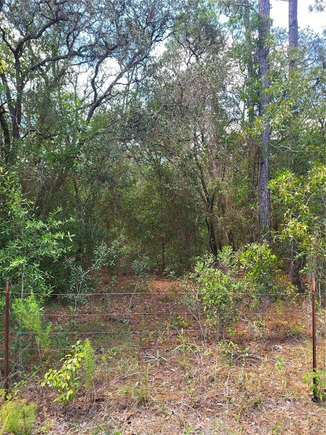 0 SW 178th Terrace unit MFROM708822, Dunnellon, FL 34432 - photo 2