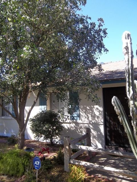 Front (3)