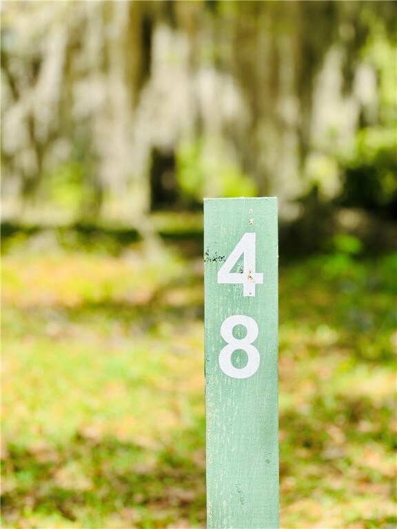 48 Coopers Point Dr NE, Townsend, GA 31331 - photo 5