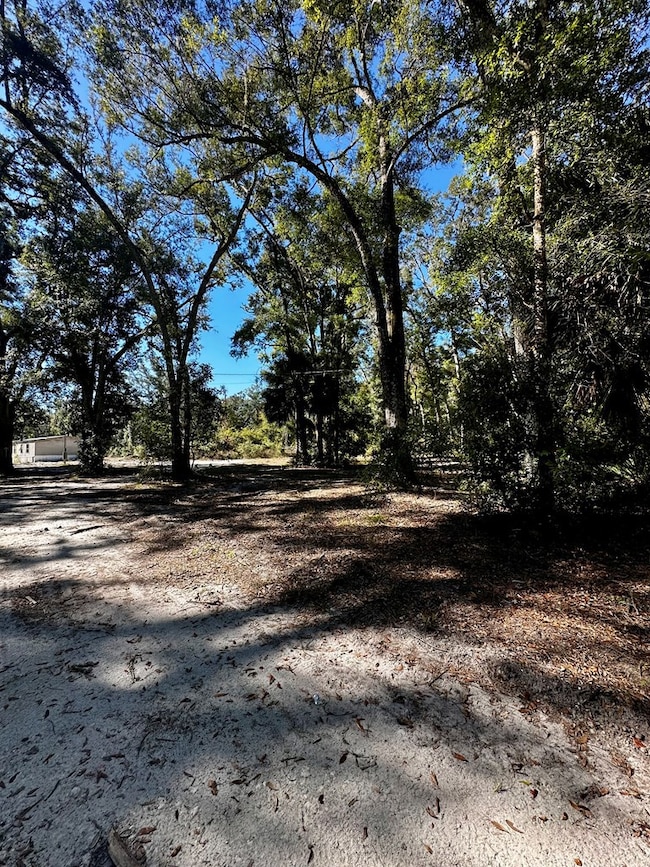 165 NE 368th Ave, Old Town, FL 32680 - photo 3