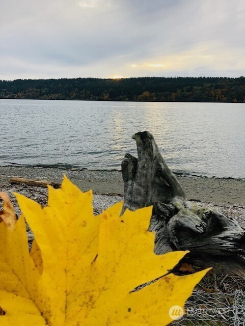 27728 Manzanita Beach Rd SW, Vashon, WA 98070 - photo 5