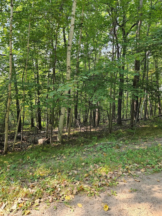 Lots 41-43 Catskill Dr, Breezy Point, MN 56472 - photo 4