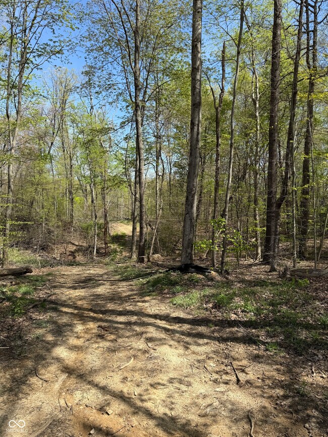 8448 E Dobbs Cemetary Rd, Columbus, IN 47201 - photo 4