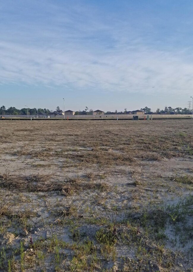 10922 Dover White Dr, Humble, TX 77396 - photo 6