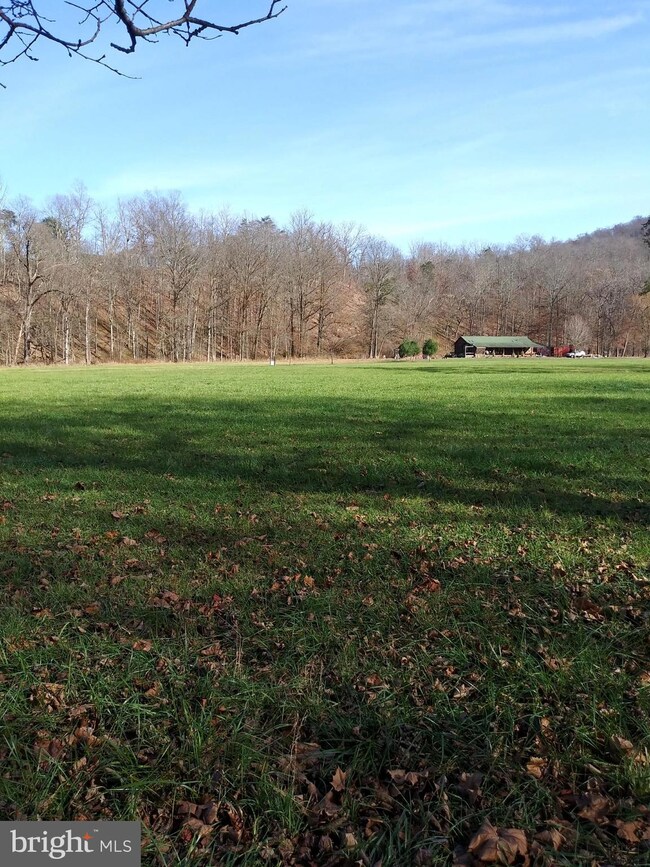 Lot #4 Little Cacapon-Levels Rd, Points, WV 25437 - photo 6