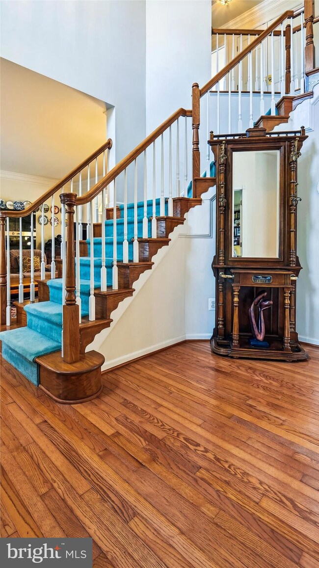 25429 Carrington Dr, Chantilly, VA 20152 - photo 4