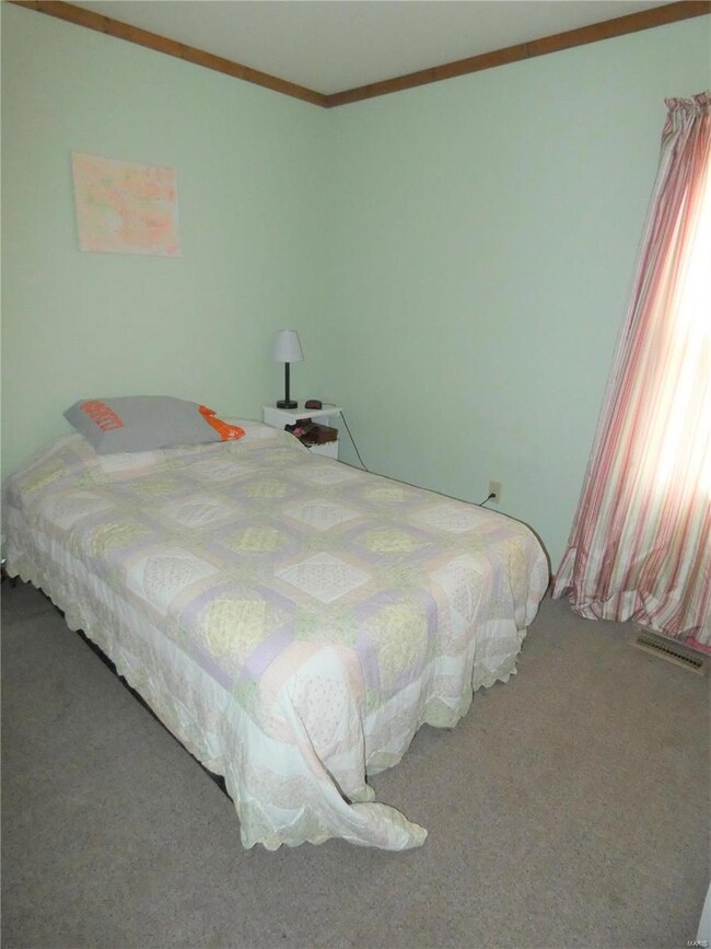 207 E Apple St, Freeburg, IL 62243 - photo 5