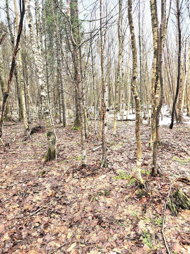 2 Diamond Pond Rd unit B, Stewartstown, NH 03576 - photo 6