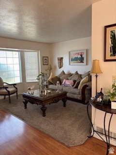 Living room featuring light wood-type flooring and a textured ceiling