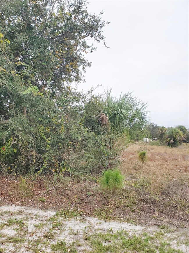 27053 Aloha Dr, Punta Gorda, FL 33955 - photo 2