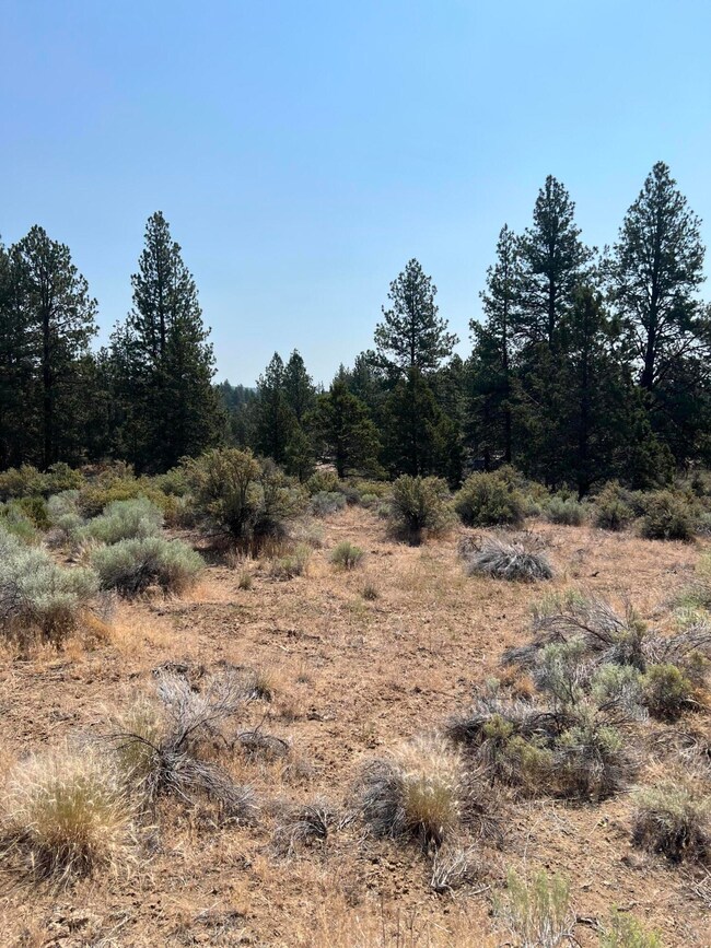0 Klamath Forest Estates unit 220185814, Chiloquin, OR 97624 - photo 2