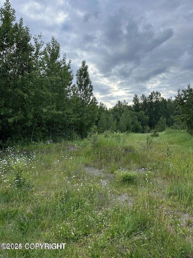 20240705150610830203000000-o