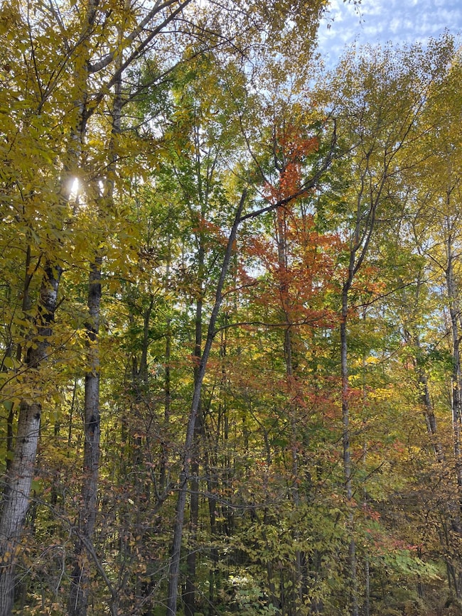 W8665 Other, Thorp, WI 54771 - photo 3