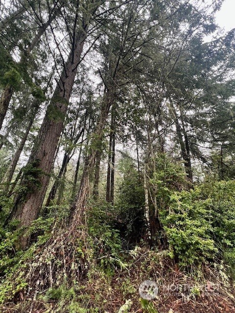 7515 Whiteman Rd SW, Longbranch, WA 98351 - photo 7