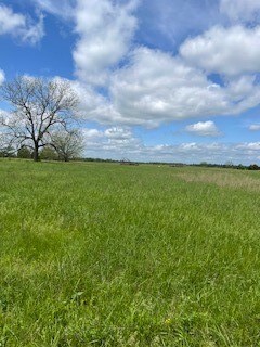 3 Check's Corner Rd, Sulphur Springs, AR 72768 - photo 7