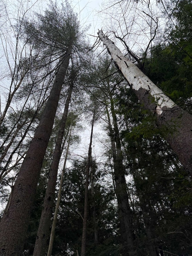 334 N Cambridge Rd, Cambridge, VT 05444 - photo 7