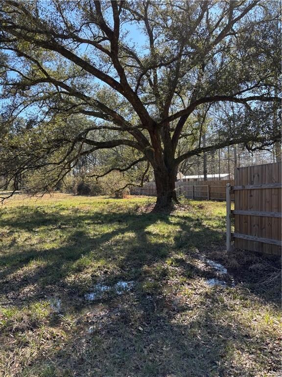 Example of the many large trees on the property.