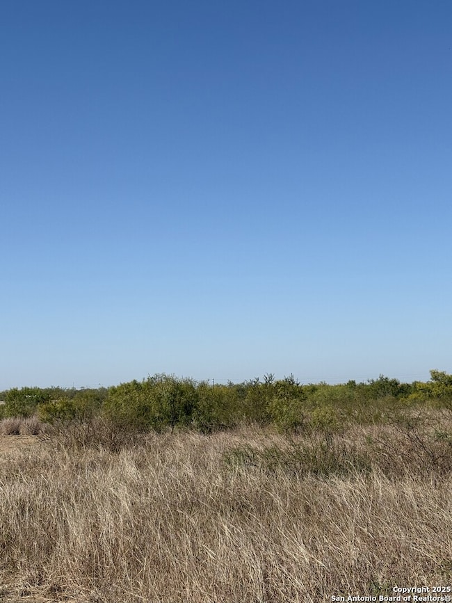 1446 County Road 332, Charlotte, TX 78011 - photo 5