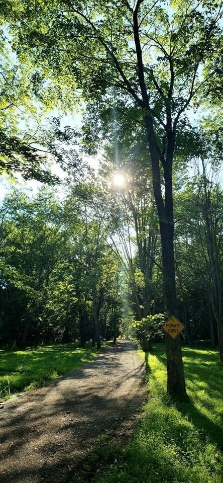 Gale Rd